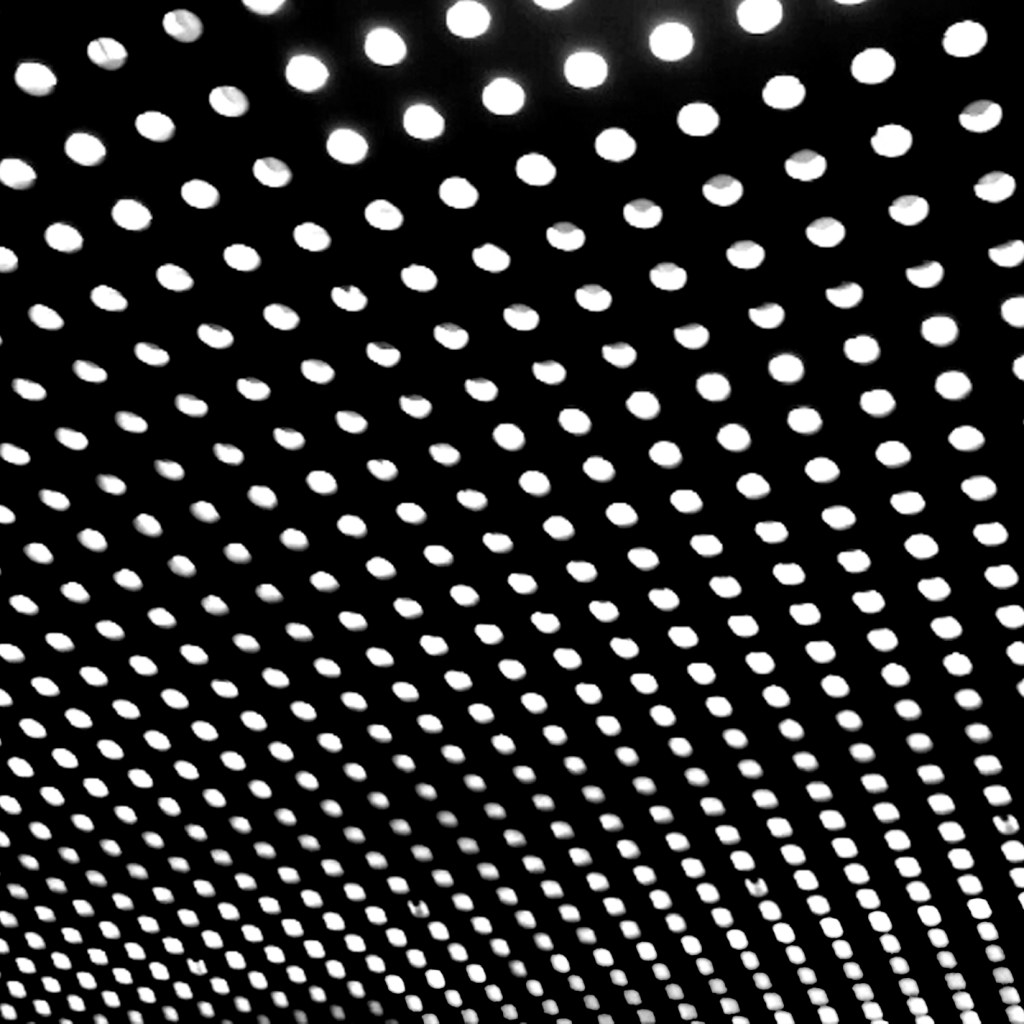 BeachHouse_bloom copy